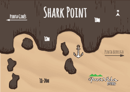 Shark point
