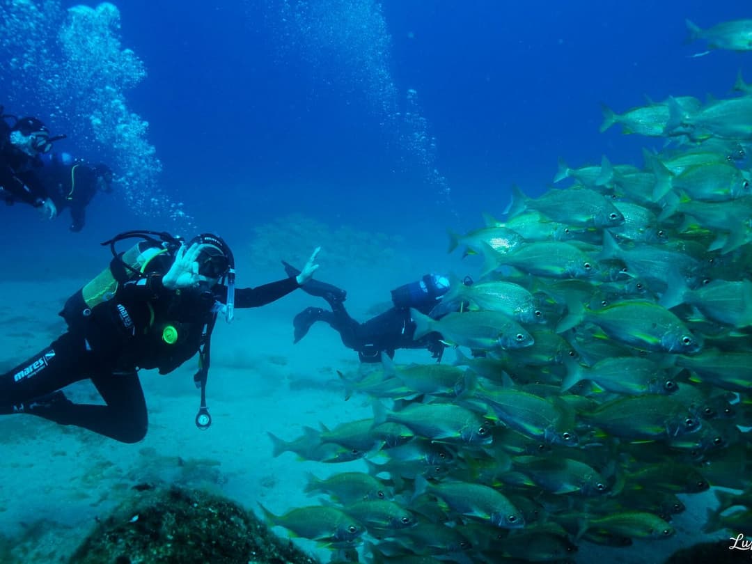 Curso Advanced Open Water Diver