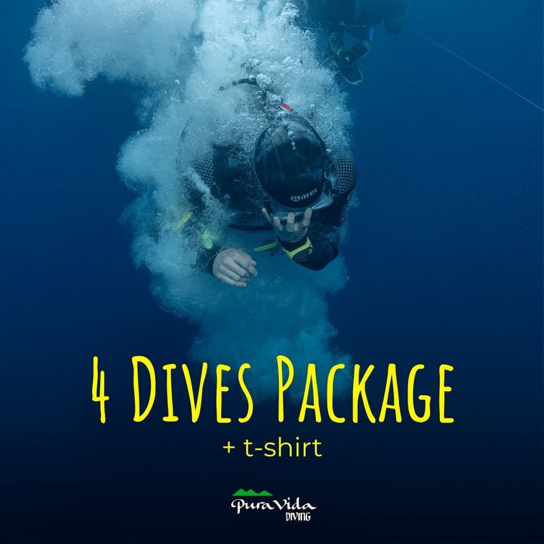 Paquete 4 inmersiones