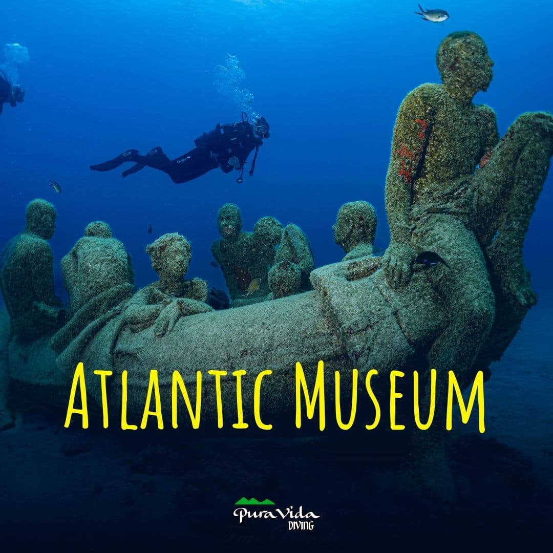 2 Inmersiones Museo Atlántico