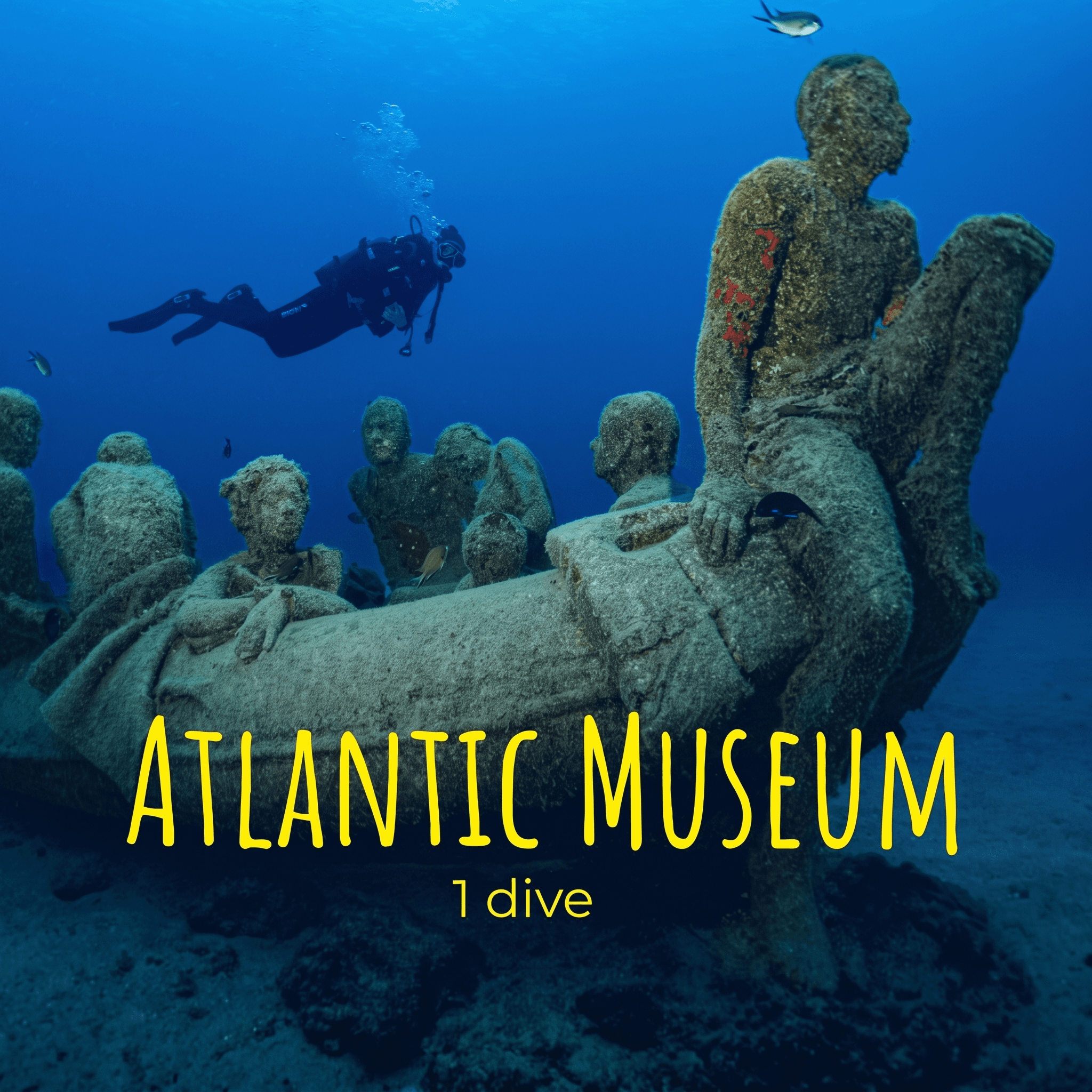 1 MUSEO DIVE