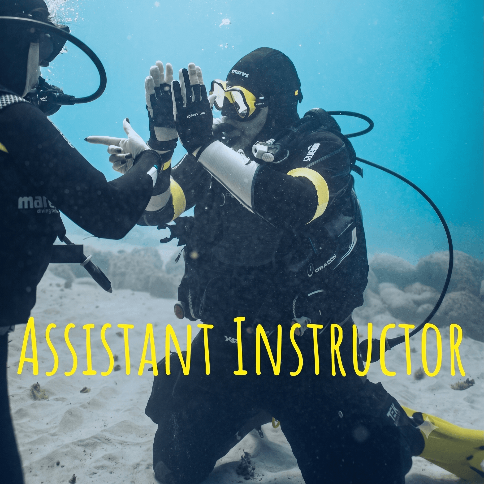 ASSISTANT INSTRUCTOR 