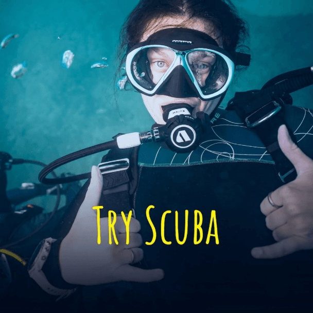 TRY SCUBA 5M