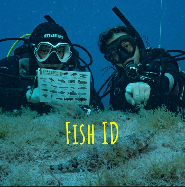 FISH ID