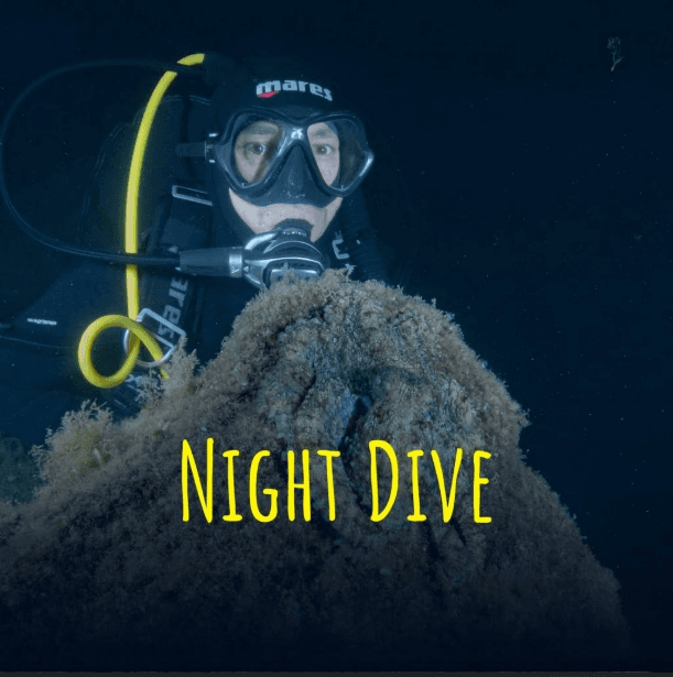NIGHT DIVING