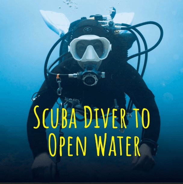 Scuba Diver to Open Water