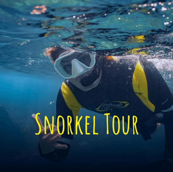SNORKEL TOUR