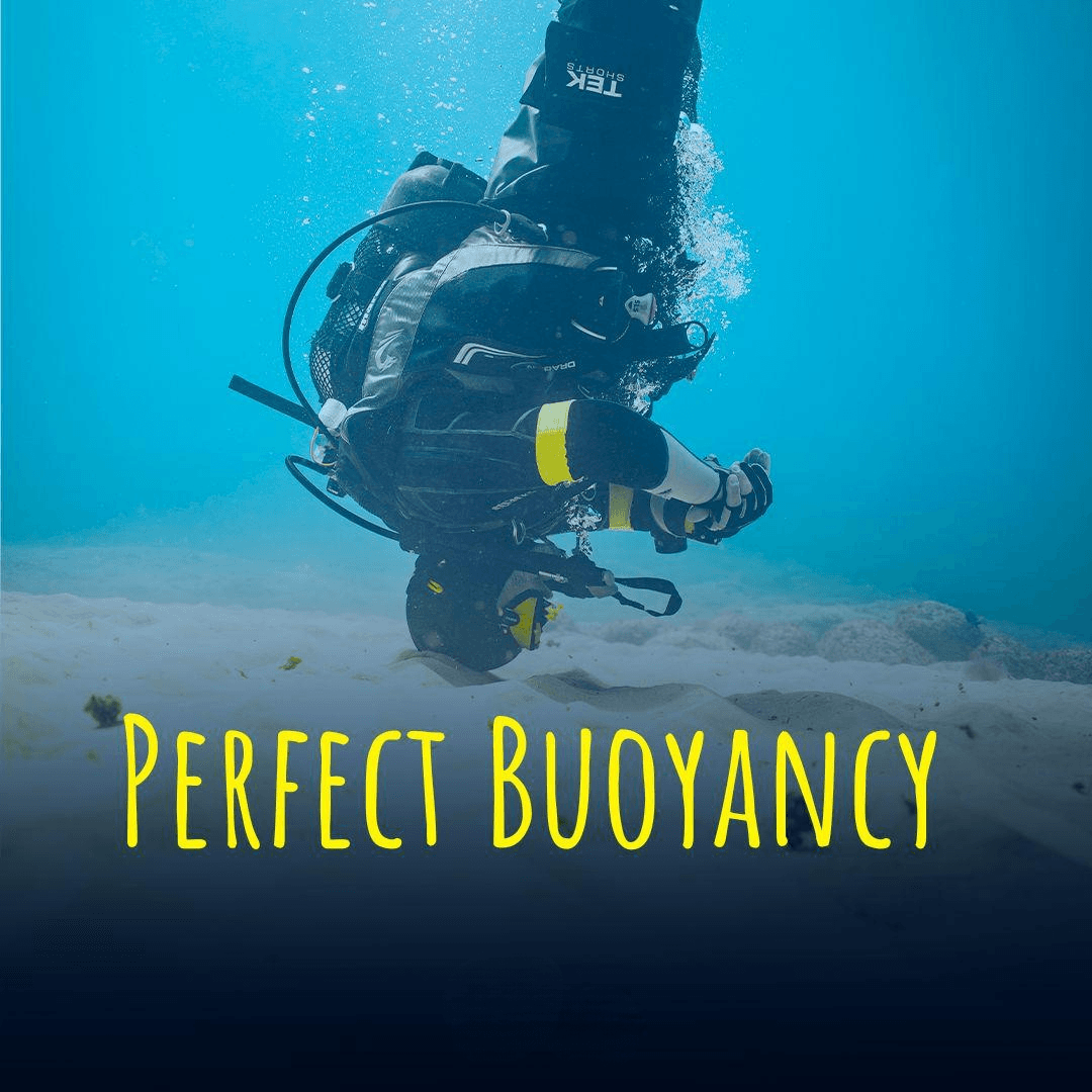 PERFECT BOUYANCY