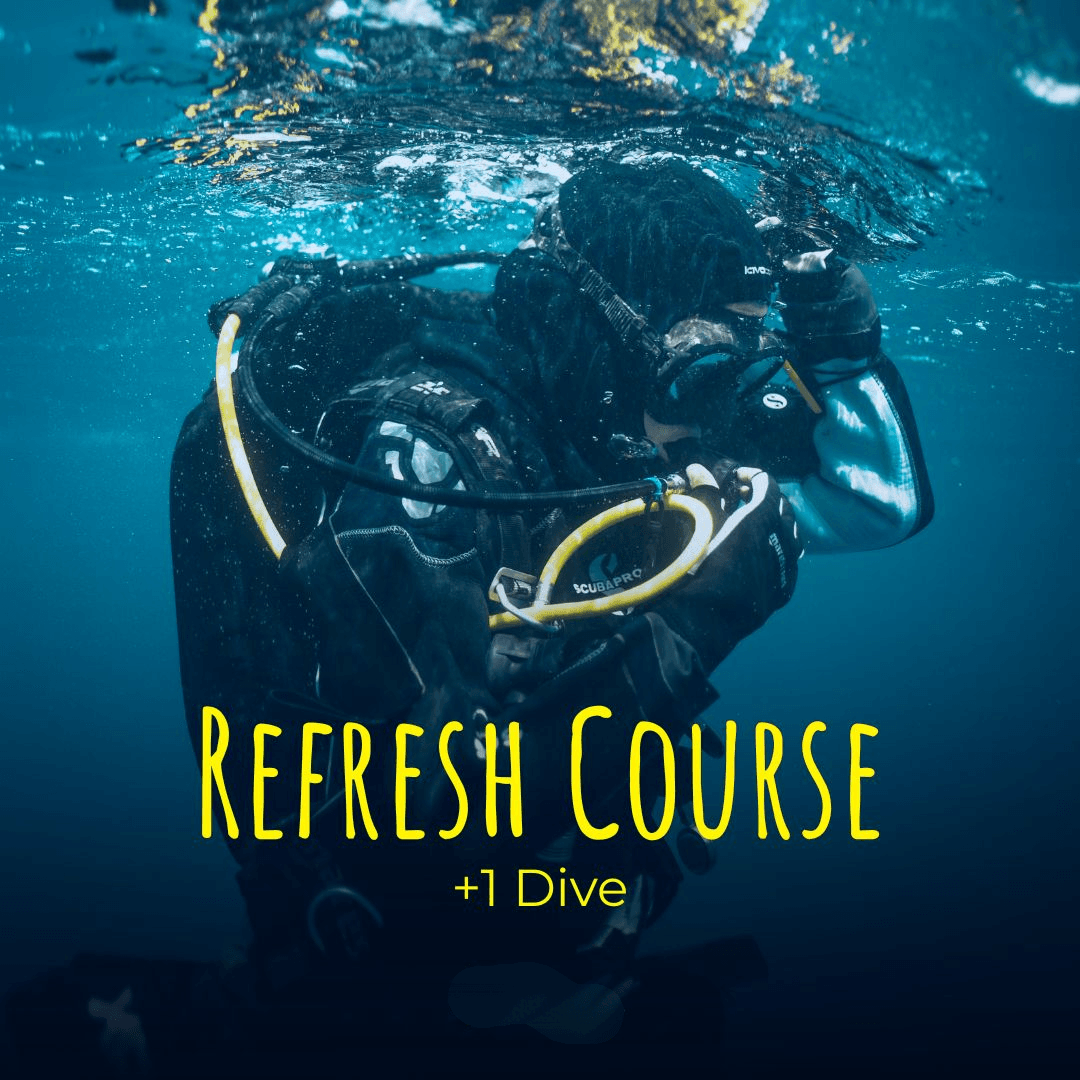 REFRESH + 1 DIVE