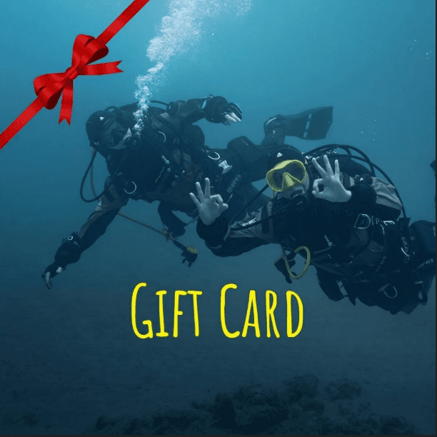 GIFT CARD 200€