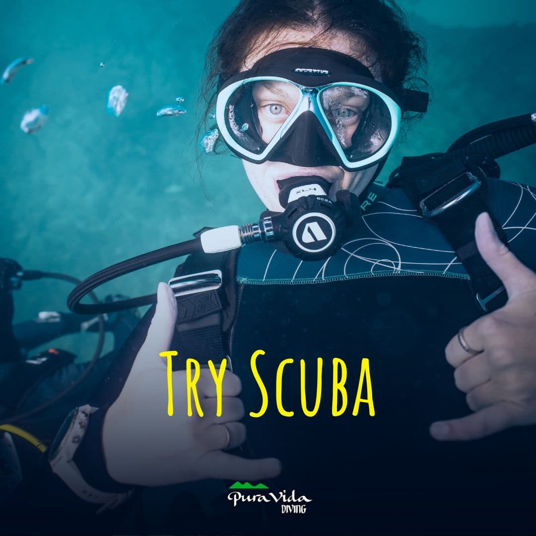 TRY SCUBA 5M